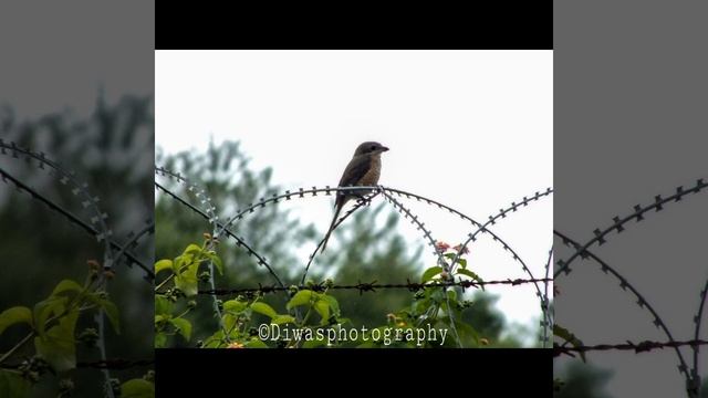 Fujifilm finepix HS35 EXR Camera Test ! смотреть онлайн