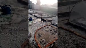 Челябинская область пос новокаолиновый