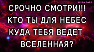 Хочешь понять свой путь жизни? Срочно смотри! Вселенная на связи ?☯ Узнай куда она тебя ведет. ТАРО