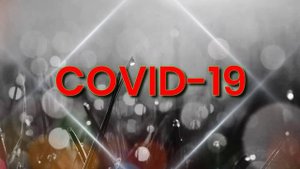 Коронавирус, covid-19, теории происхождения, появления