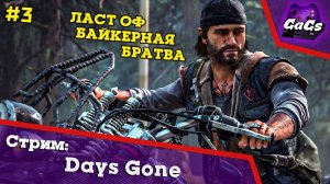 The Last of Bikers | Days Gone / Жизнь После | ПРОХОЖДЕНИЕ 3