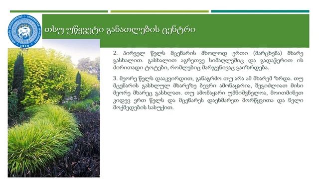 "ცოცხალი ღობე" ჩვენი ბაღებისთვის - ტრენერი ელისო ხარჩილავა смотреть онлайн