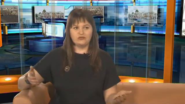 «Наше время»: Софья Куликова о необычном способе поиска хозяина для бездомных котов смотреть онлайн