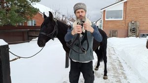 Недоуздок для лошади.