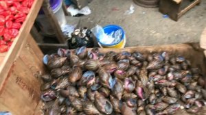 Не ходите дети в Африку Бенин