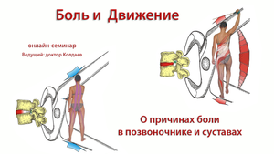 Боль и движение