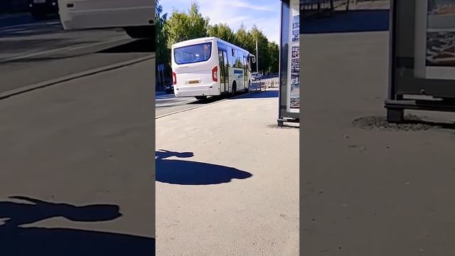 автобус || паз вектор некст || смотреть онлайн