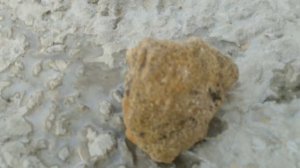 Выбор камня для аквариума 3200 л. Уксус 9%