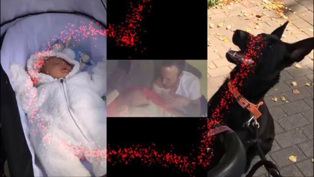 Наш любимый и родной Сынок Даня! смотреть онлайн