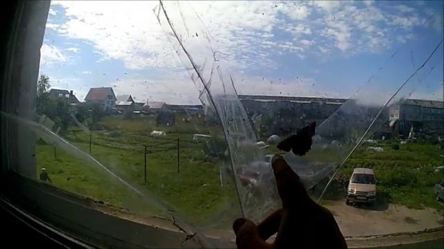 Где зимуют бабочки? смотреть онлайн