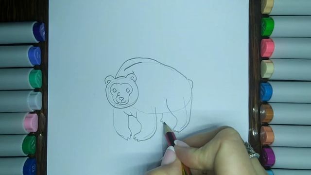 Как легко поэтапно нарисовать бурого медведя ребенку