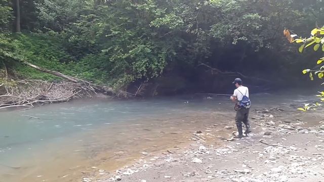 Ловля форели в Абхазии! Спортсмен команды г.Сухум (AlfaFishing) смотреть онлайн