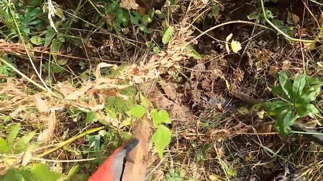 ►НЕ КОПАННЫЙ СКЛАД!!! УВЕСИСТЫЙ МЕТАЛЛ В ЧИСТОМ ПОЛЕ, КОПАЕМ ДО ПОСИНЕНИЯ — ►+30 ЖАРА— (Часть 2)