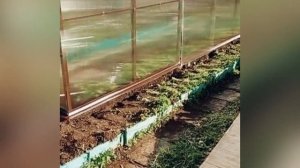 ЛЕГЕНДА 3М. ТЕПЛИЦА КОТОРОЙ НЕТ РАВНЫХ В ТЕПЛИЦАХ! ЧЕСТНЫЙ ОТЗЫВ О НАШЕЙ РАБОТЕ.