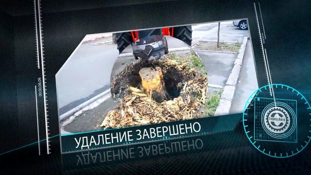 Корчевание и удаление пней. HD Заказ корчевания и удаления пней на вашем участке. (выкорчёвка)