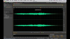 How to do infinite loop in Adobe Audition