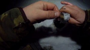 ЛОВЛЯ НАЛИМА ЗИМОЙ НА ПОСТОВУШКИ