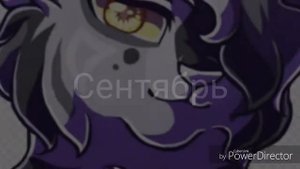 Кто ты из Котов Воителей по месяцам