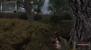 S.T.A.L.K.E.R. Закоулки Правды #1. Ворон