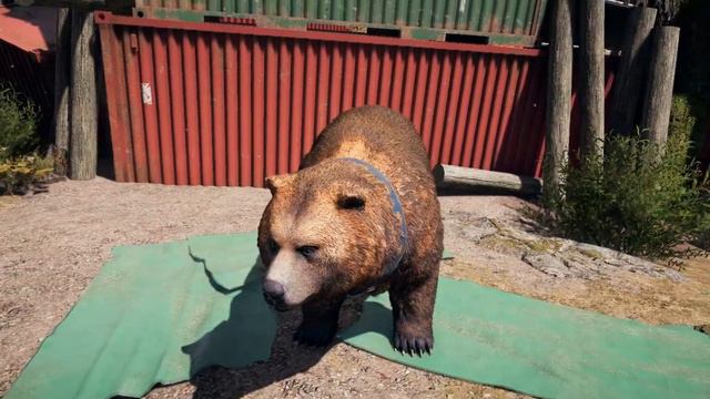 ВОЛОСАТЫЙ ЧИЗБУРГЕР ► FarCry 5 #21