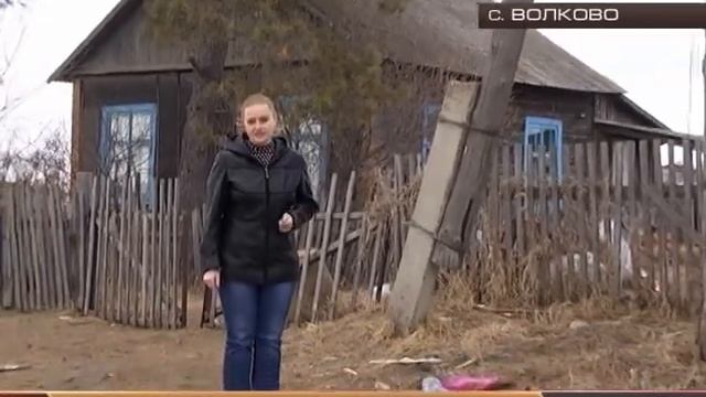 закон, коровы и порядок смотреть онлайн