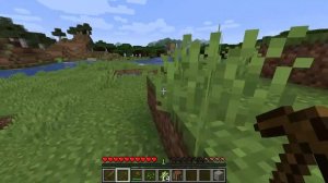 so I played Minecraft java edition and this happened(warning I scream a lot)