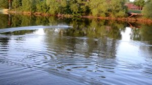 Самодельный радиоуправляемый катер (перевертыш)