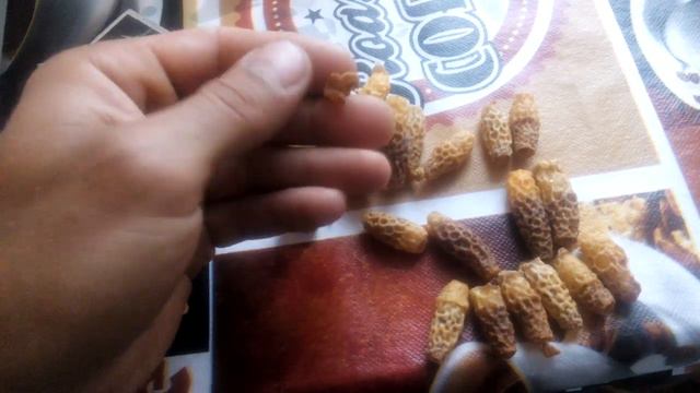 Матководство,роеловство эксклзивная информация!!! смотреть онлайн