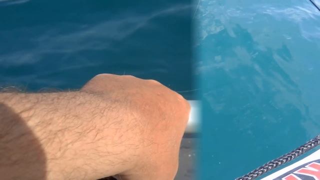 Каменный окунь кукушка, Сатера 28.05.2016 смотреть онлайн