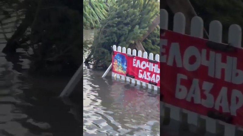 Анапа 23 декабря.