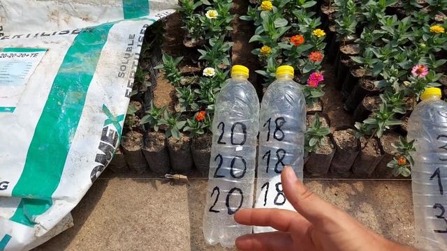 20г ЭТОГО УДОБРЕНИЯ РАЗ В НЕДЕЛЮ ДЛЯ ПЫШНОГО РОСТА КУСТА и ОБИЛЬНОГО ЦВЕТЕНИЯ ПЕТУНИИ ВСЕ ЛЕТО.
