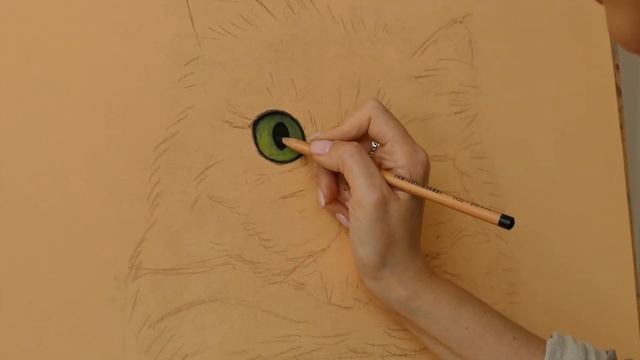 КОШАЧИЙ ГЛАЗ НА БУМАГЕ PASTELMAT смотреть онлайн