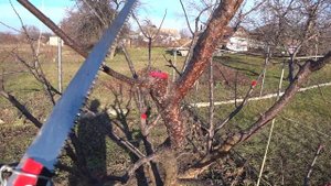 Садовая пила хорошая и НЕОЧЕНЬ в чем разница!