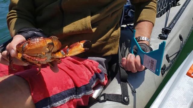 ЛОВЛЯ КРАБОВ.ДОСТАЕМ КРАБОЛОВКУ смотреть онлайн