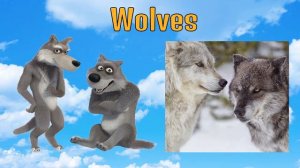 Masha And The Bear Characters In Real Life