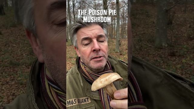 FORAGING MUSHROOMS - THE POISON PIE (NOT EDIBLE)