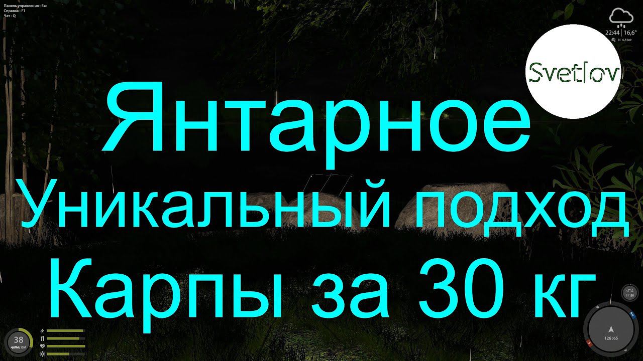 Янтарное озеро Уникальный подход Карпы за 30 кг