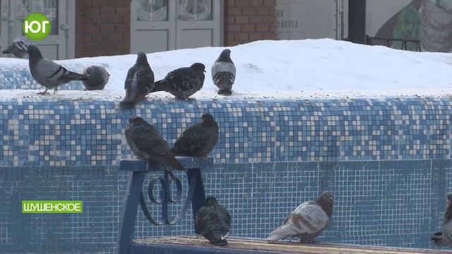 Демонтаж рынка у Дома торговли смотреть онлайн