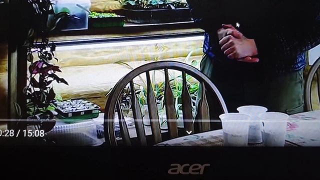 Инкубация помидоров "гусиное яйцо" )))!!! смотреть онлайн