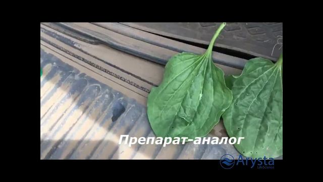 Действие препарата Сильвет Голд смотреть онлайн