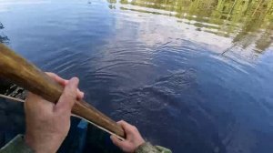 Охота и рыбалка в осеннюю жару #3 Время рыбалки и проверки медведей