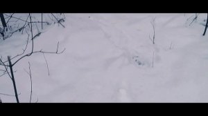 СНЕЖНЫЙ ЧЕЛОВЕК (2018) ФИЛЬМ