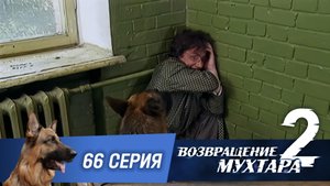 «Возвращение Мухтара — 2». 66 серия. «Клуб анонимных алкоголиков»