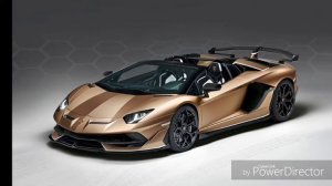 Палавина моя