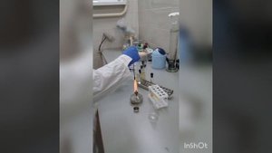 обучающее видео, посев культуры с полу жидкого агара на скошенный агар