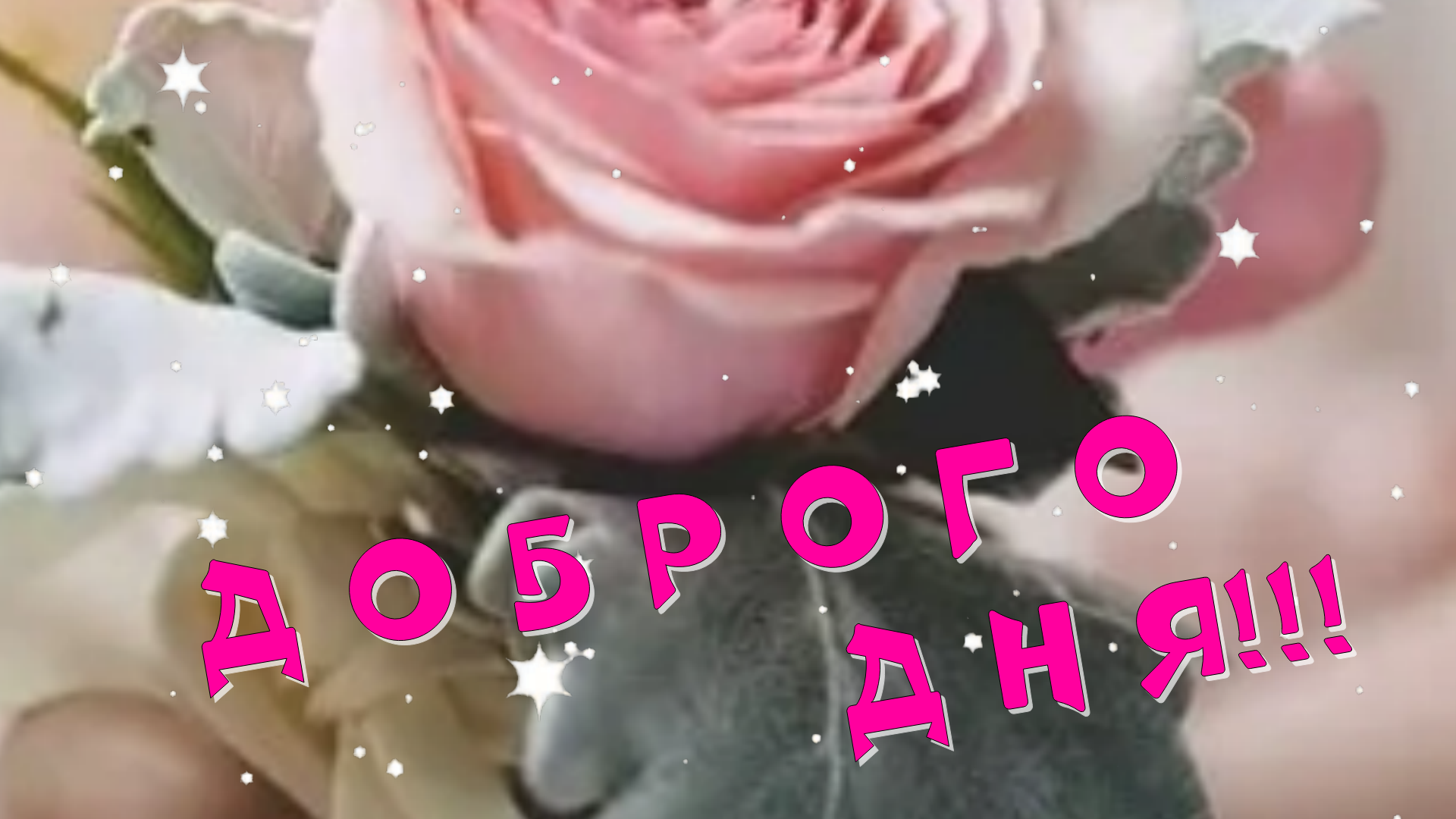 Поздравление с добрым утром из тик тока