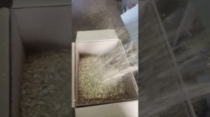 Самодельная вальцовая плющилка для зерна.