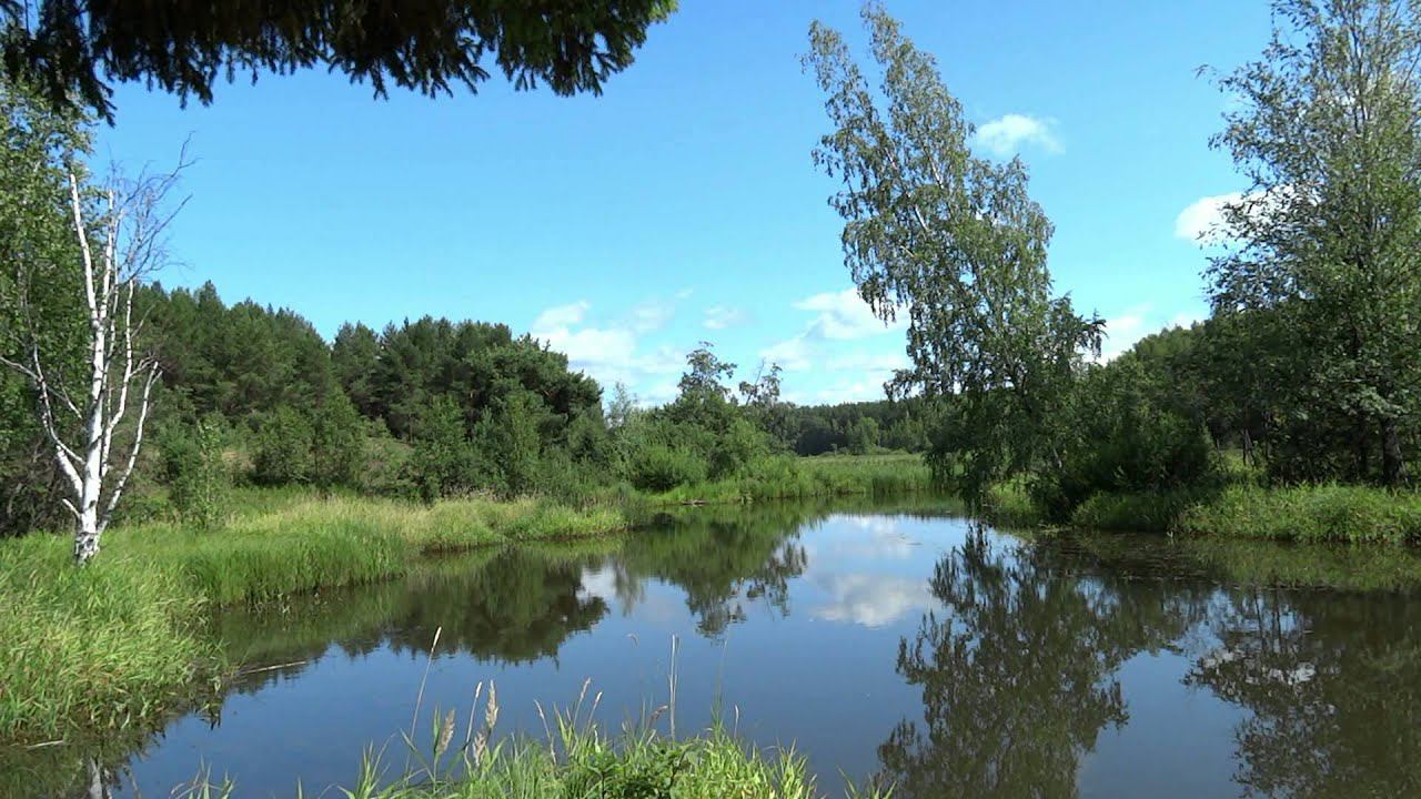 Музыка лета
