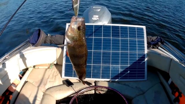 Семейный отдых на природе и рыбалка с ночевкой 4 смотреть онлайн