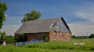 Деревня Невское / обзор сверху Солецкий район Новгородская область